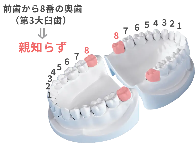 親知らず